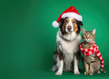 dog hat. cat scarf.jpg