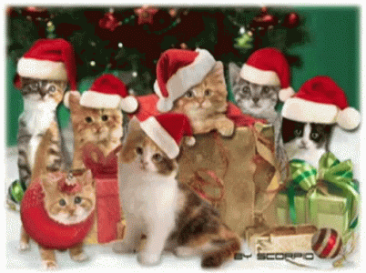 1733829799336.gif