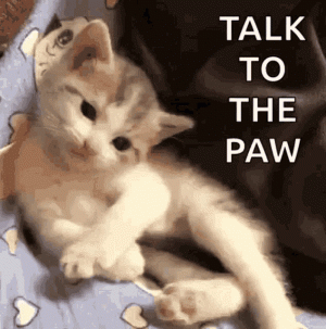 1733830026640.gif