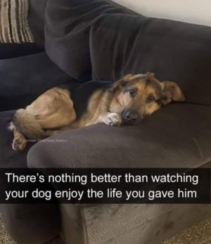 1000007090.jpg