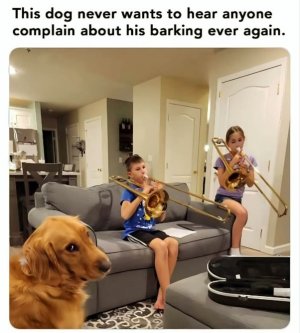 1000007087.jpg