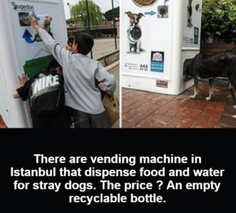 1000007091.jpg