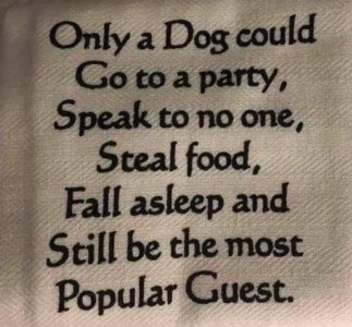 FB_IMG_1731565171907.jpg