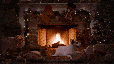 merry-christmas-k9-gif.gif