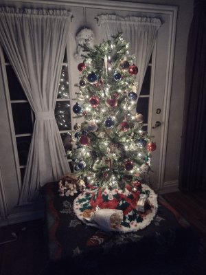 IMG_20241208_190724637_HDR.jpg