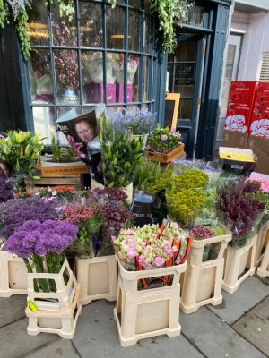 flower shop.jpg