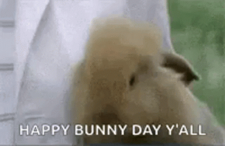 1733917687899.gif