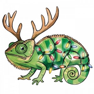 xmasreinfrog-ezgif.com-png-to-jpg-converter.jpg