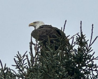 IMG_7014.jpeg