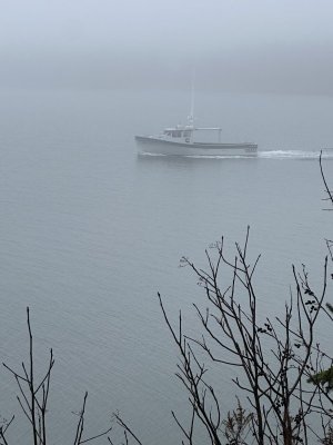 IMG_7008.jpeg