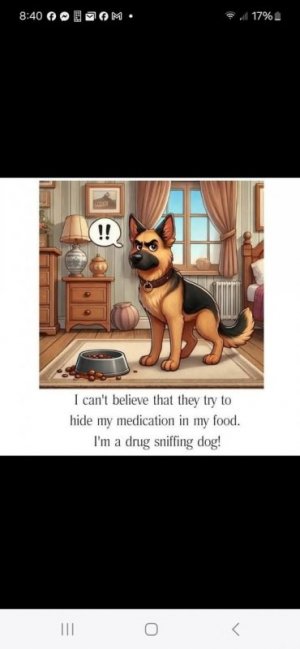 drugssniffingdog.jpg