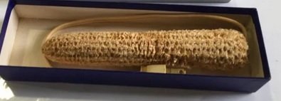 corn.jpg