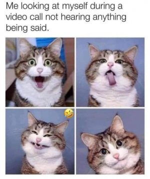 mevideocall.jpg