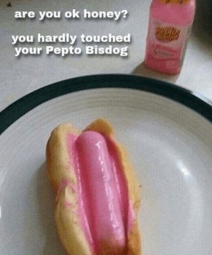 are-ok-honey-hardly-touched-pepto-bisdog.jpg