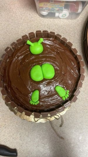 30 Hilarious Hedgehog Cake Fails That'll Make You Smile.jpg