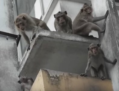 121124b.jpg 121124b.jpg