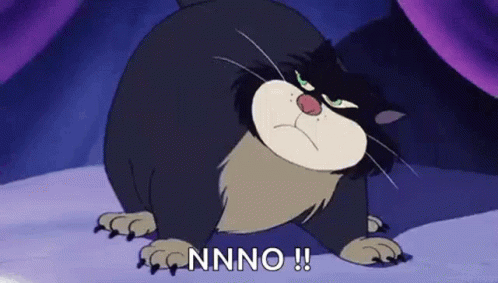 1734000321656.gif
