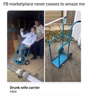 carrier.jpg