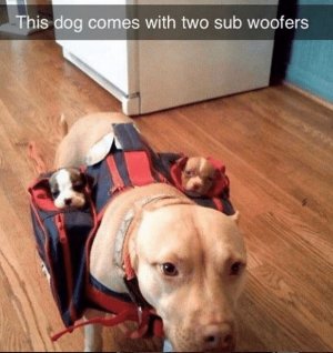 1000007280.jpg