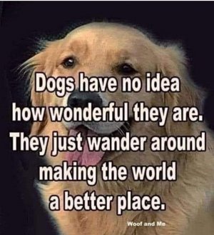 1000007279.jpg