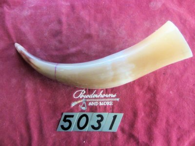 Number 5031 @.jpg