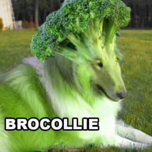 7429764c0715a429b09e819303d6d80e.jpg