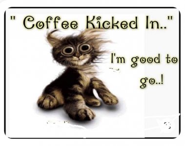 Coffee kickin.jpeg