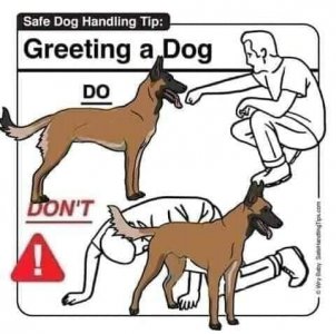 greeting.jpg