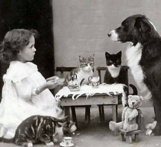 birthday pets.jpg