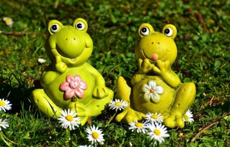 green frogs.jpg