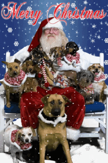 santa-santa-claus.gif