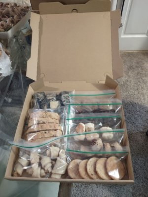 Boxed & ready.jpg