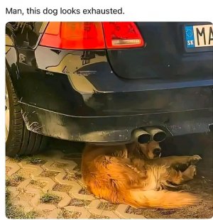 exhausted.jpg