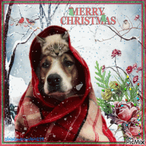 9423138_b9450.gif