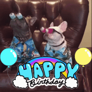 IMG_9850.gif