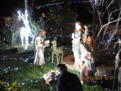 IMG_6951.JPG