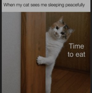 1000006728.jpg