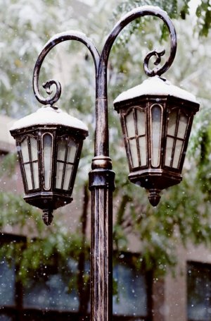 lamp-4969476_1280.jpg