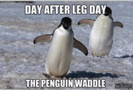 sdawewx.jpg