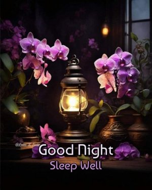 67f5fa2ce30529de0051508fed2a81b9.jpg