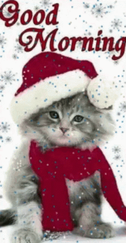 c048de2e8fa0d642c232f144515ab28f[1].gif