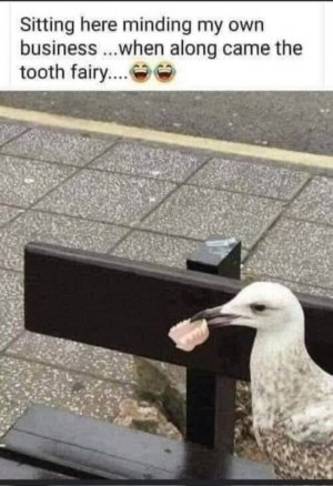 IMG_9866.jpeg