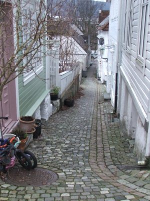 narrow house.jpg
