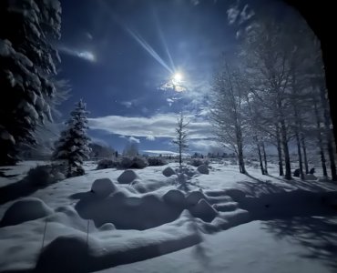 Moonlight 2.jpg