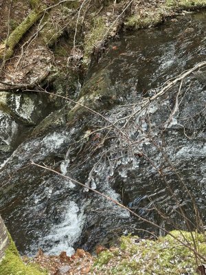 IMG_7045.jpeg