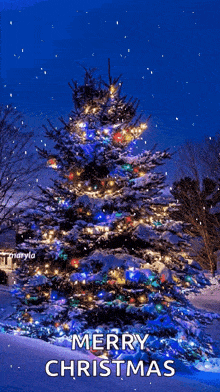 tree-lights-tree.gif