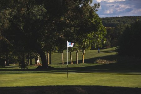 green golf course.jpg