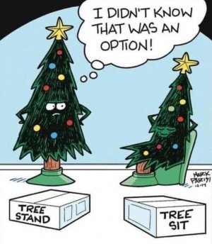 xmas3.jpg