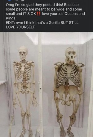 general.jpg