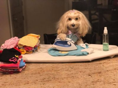 Ironing @.jpg